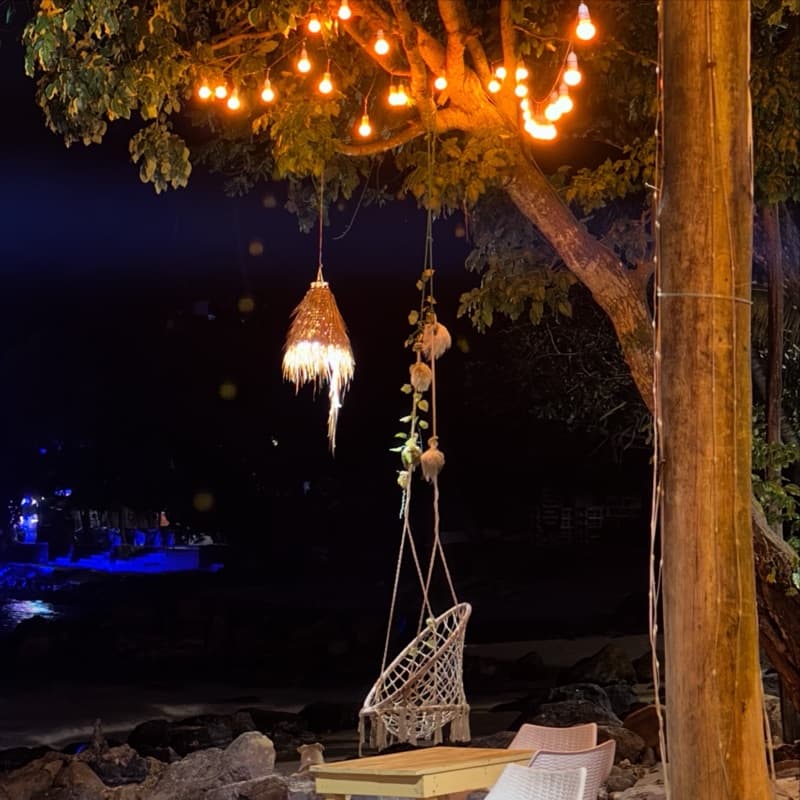 A lantern and a hanging chair under a tree at night
